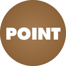 point情報